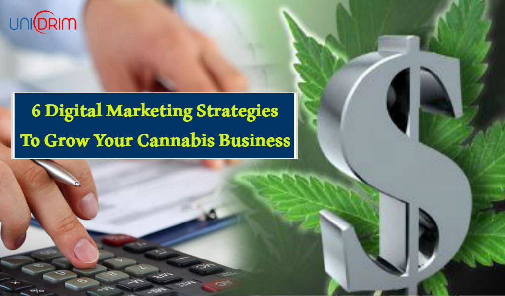 6 Digital Marketing Strategies for Cannabis Business