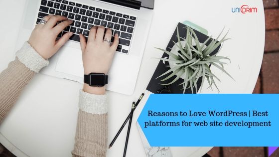 Reasons to Love WordPress _ Best platforms for web site development unidrim